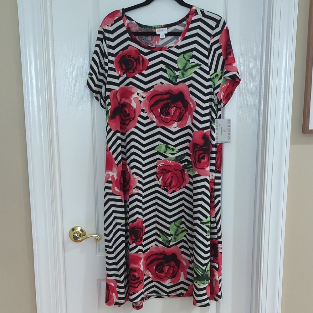 NWT Lularoe Jessie XL Floral Chevron Dress